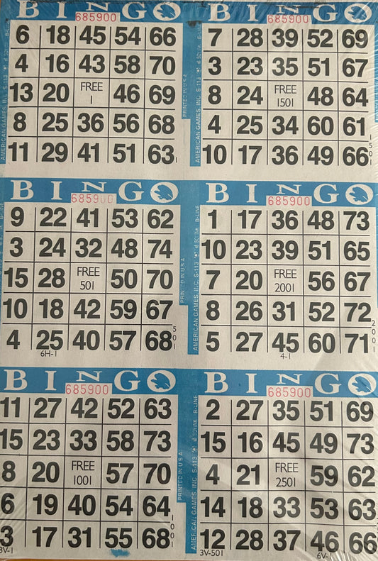 Blue 6on Vertical Bingo Paper 500 Sheets