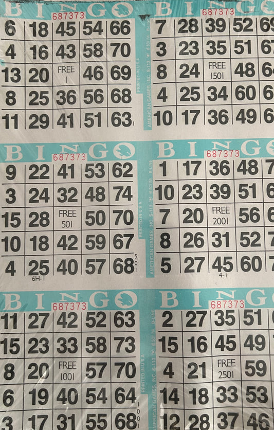 Aqua 6on Vertical Bingo Paper 500 Sheets