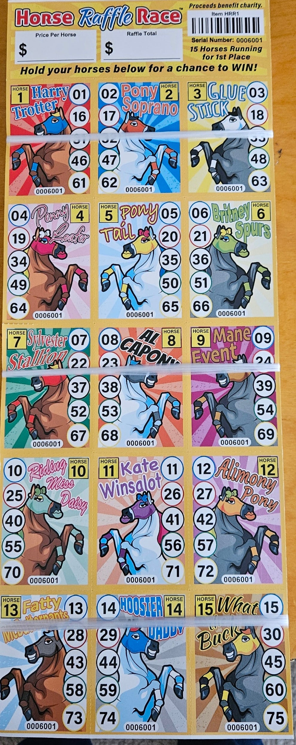 Raffles Racing Horse Raffle Race 15 Horses 50 Sheets per Book Pull Tabs – YoungCoLLC